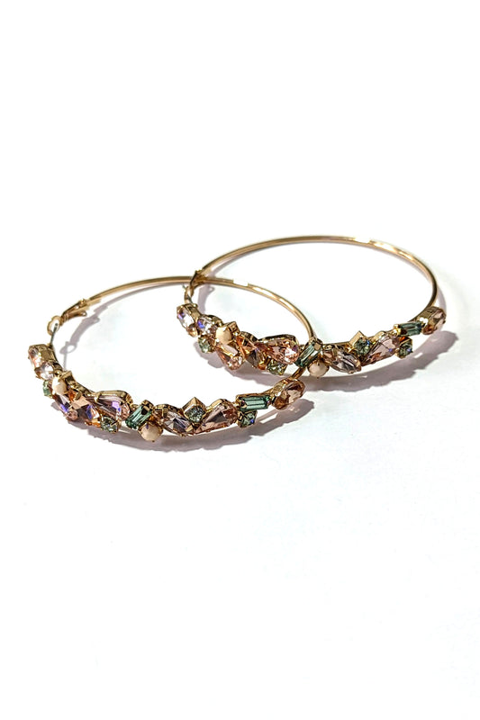 Multi Encrusted Hoop Earrings